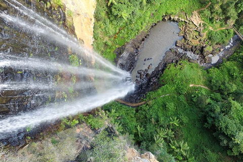 Natural Bridge & Springbrook Waterfalls Tour + Hot Air Balloon With Breakfast - Accommodation Gold Coast 1