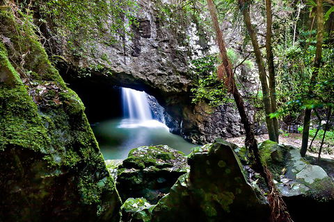 Natural Bridge & Springbrook Waterfalls Tour + Hot Air Balloon With Breakfast - Accommodation Gold Coast 4