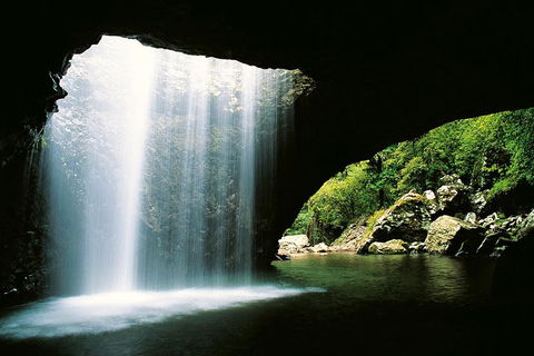 Natural Bridge & Springbrook Waterfalls Tour - Accommodation Gold Coast 0