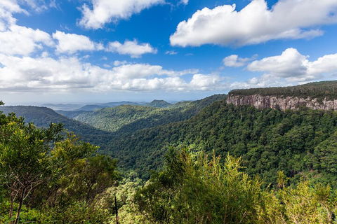Natural Bridge & Springbrook Waterfalls Tour - Accommodation Gold Coast 1