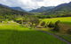 Natural Bridge & Springbrook Waterfalls Tour - thumb 2