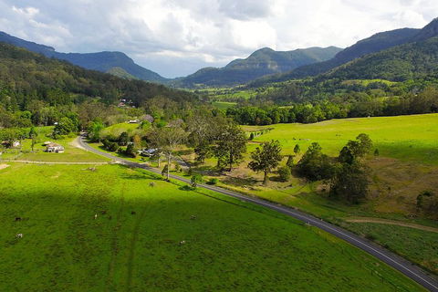 Natural Bridge & Springbrook Waterfalls Tour - Accommodation Gold Coast 2