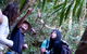 Natural Bridge & Springbrook Waterfalls Tour - thumb 4