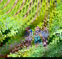 Tasmanian Wine Tour - Accommodation Gold Coast