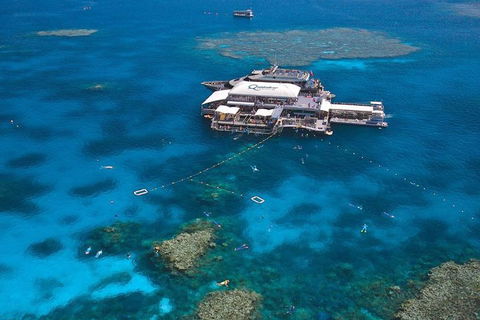 Quicksilver Outer Great Barrier Reef Snorkel Cruise From Palm Cove - Gold Coast 4U 1