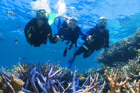 Quicksilver Outer Great Barrier Reef Snorkel Cruise From Palm Cove - Gold Coast 4U 3
