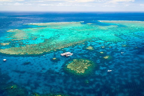 Quicksilver Outer Great Barrier Reef Snorkel Cruise From Palm Cove - Gold Coast 4U 4