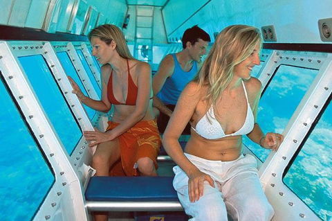 Quicksilver Outer Great Barrier Reef Snorkel Cruise From Palm Cove - Gold Coast 4U 5
