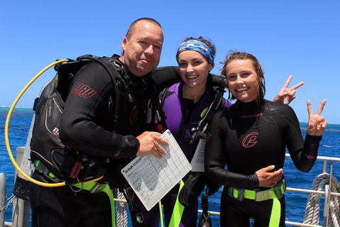 Quicksilver Dive 4 Day PADI Learn To Dive Course - Accommodation Gold Coast 0