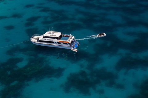 Quicksilver Dive 4 Day PADI Learn To Dive Course - Accommodation Gold Coast 1