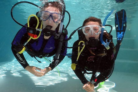 Quicksilver Dive 4 Day PADI Learn To Dive Course - Accommodation Gold Coast 2