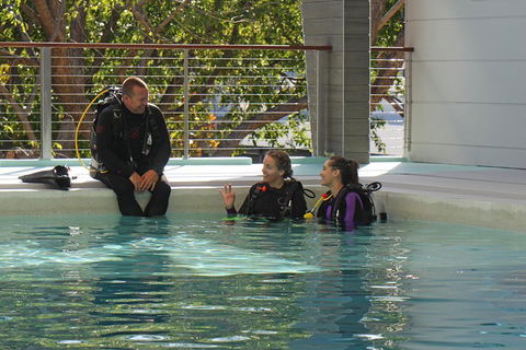Quicksilver Dive 4 Day PADI Learn To Dive Course - Accommodation Gold Coast 3