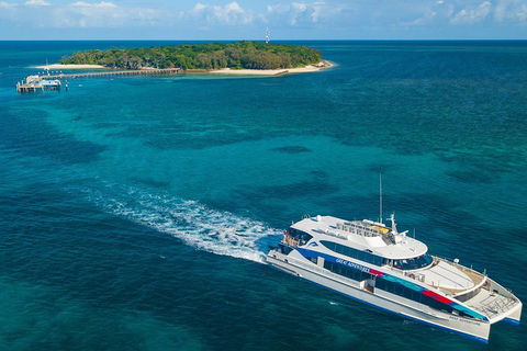 Ultimate 3-Day Great Barrier Reef Cruise Pass - Accommodation Gold Coast 4