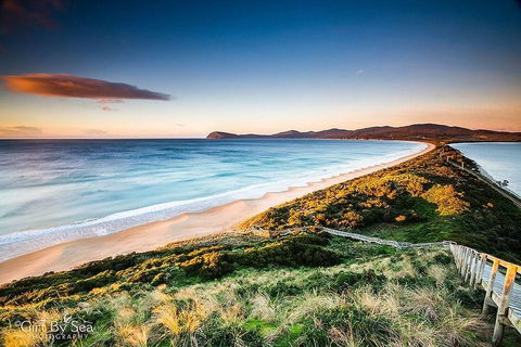 Bruny Island Private Charter Service - Accommodation Gold Coast 0