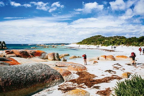 Wineglass Bay Private Charter Service - 1 Gold Coast 3