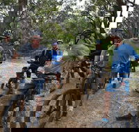 Fully guided E-Mountain Bike Tour on the beautiful Mornington Peninsula. - Accommodation Gold Coast