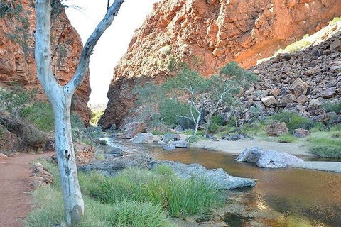 Alice Springs, Uluru Ayers Rock & Kings Canyon 8 Days Touring Package - Accommodation Gold Coast 2