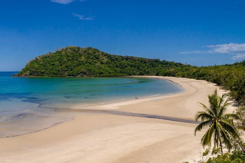 Daintree And Cape Tribulation Tour From Cairns - Accommodation Gold Coast 1
