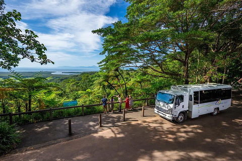 Daintree And Cape Tribulation Tour From Cairns - Accommodation Gold Coast 3