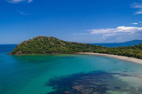 Daintree And Cape Tribulation Tour From Cairns - Accommodation Gold Coast 4