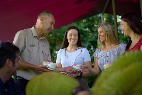 Daintree And Cape Tribulation Tour From Cairns - Accommodation Gold Coast 5