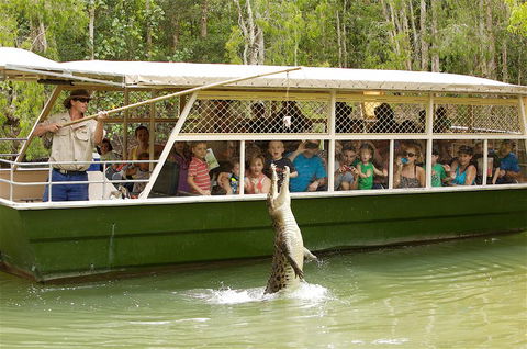 Hartley's Crocodile Adventure Half-Day Tour - Accommodation Gold Coast 0