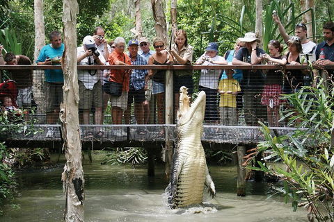 Hartley's Crocodile Adventure Half-Day Tour - Accommodation Gold Coast 1