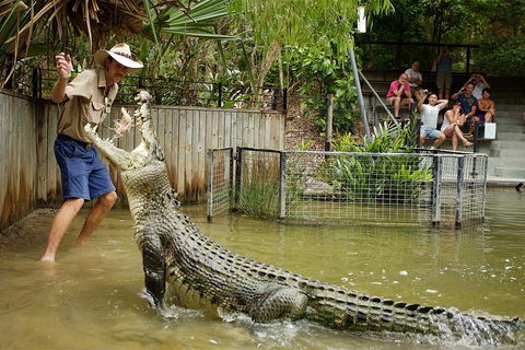 Hartley's Crocodile Adventure Half-Day Tour - Accommodation Gold Coast 2