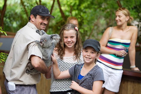 Hartley's Crocodile Adventure Half-Day Tour - Accommodation Gold Coast 3