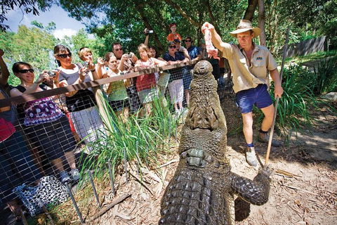 Hartley's Crocodile Adventure Half-Day Tour - Accommodation Gold Coast 4