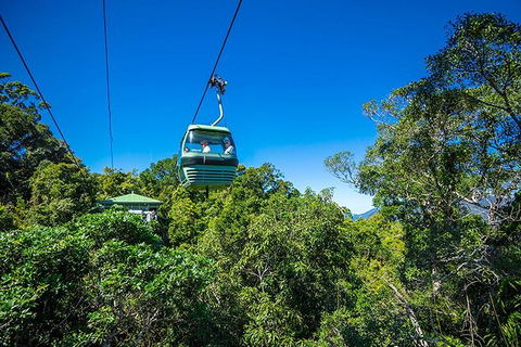 Skyrail Rainforest Cableway Day Trip From Cairns - Accommodation Gold Coast 1