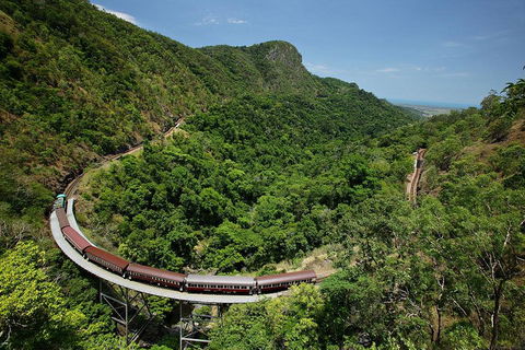 Skyrail Rainforest Cableway Day Trip From Cairns - Accommodation Gold Coast 5