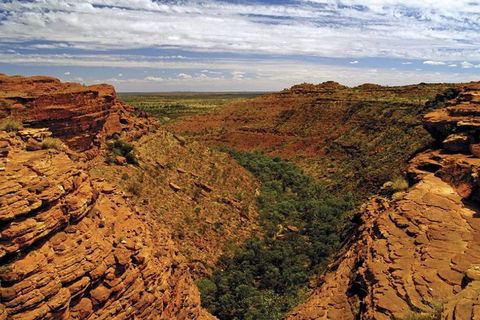 The Amazing Kings Canyon: 4-Hours Walking Tour And Hike - Accommodation Gold Coast 3