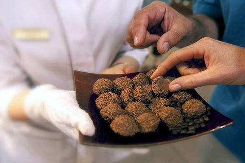 Explore Adelaide City Tour: Haigh's Tasting Chocolate & Adelaide Oval Tour - Accommodation Gold Coast 2