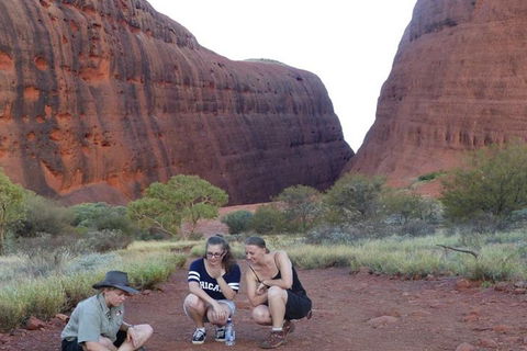 5-Hour Kata Tjuta Sunrise Tour From Ayers Rock With Breakfast - Accommodation Gold Coast 0