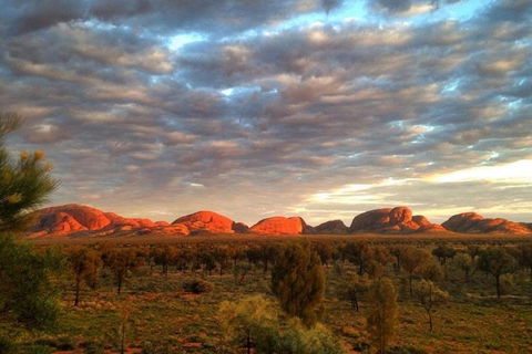 5-Hour Kata Tjuta Sunrise Tour From Ayers Rock With Breakfast - Accommodation Gold Coast 1