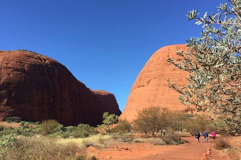 5-Hour Kata Tjuta Sunrise Tour From Ayers Rock With Breakfast - Accommodation Gold Coast 4