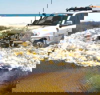 Full-Day Moreton Island 4x4 Sightseeing Tour - Accommodation Gold Coast