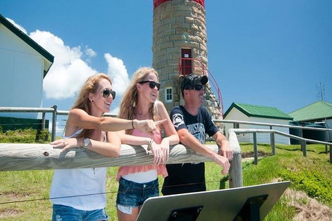 Full-Day Moreton Island 4x4 Sightseeing Tour - Accommodation Gold Coast 3