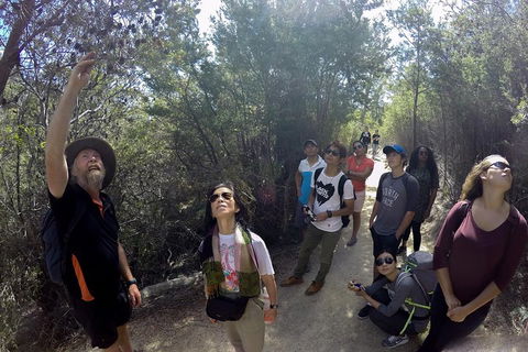 Active Day Tour One-Way From Launceston To Hobart Via Wineglass Bay - Accommodation Gold Coast 0