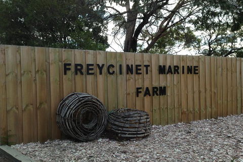 Active Day Tour One-Way From Launceston To Hobart Via Wineglass Bay - Accommodation Gold Coast 3