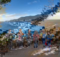 Port Arthur and Tassie Devils Active Day Tour from Hobart - Accommodation Gold Coast