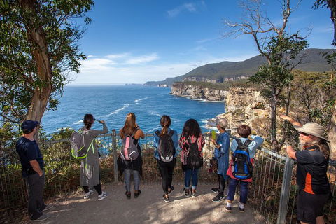 Historic Port Arthur Day Trip From Hobart Including Cliff-Top Walk To Waterfall Bay - Accommodation Gold Coast 0