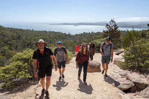 3-Day Tasmania Combo: Launceston To Hobart Active Tour Including Cradle Mountain, Freycinet National Park And Port Arthur - Accommodation Gold Coast 5