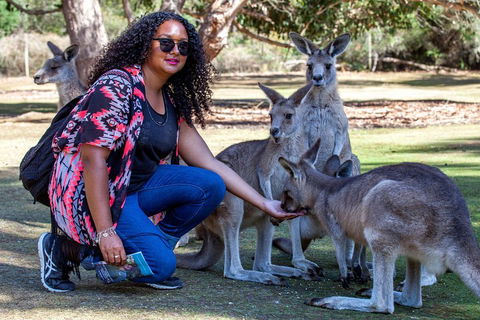 3-Day Tasmania Combo: Hobart To Launceston Active Tour - Accommodation Gold Coast 5