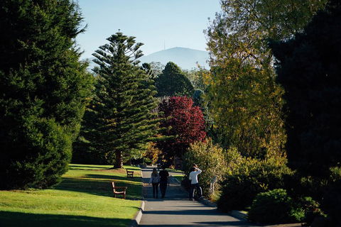 Private Royal Tasmanian Botanical Gardens Walking Tour - Accommodation Gold Coast 1