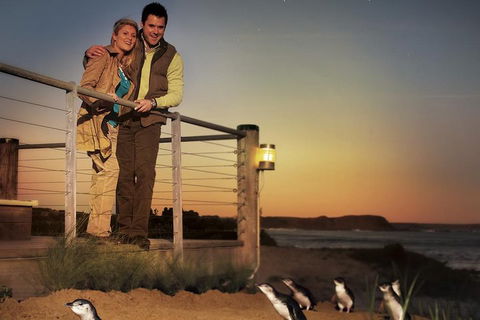 The Ultimate Melbourne Attractions Pass - Accommodation Gold Coast 3