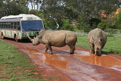 The Ultimate Melbourne Attractions Pass - Accommodation Gold Coast 4