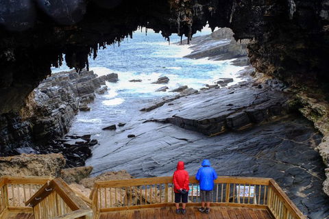 Full-Day Kangaroo Island Safari From Penneshaw - Accommodation Gold Coast 1