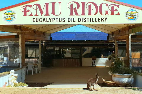 Full-Day Kangaroo Island Safari From Penneshaw - Accommodation Gold Coast 2